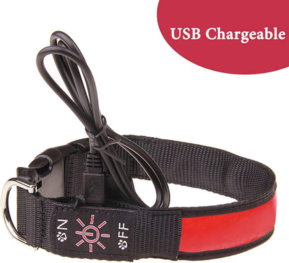 LED Light-Up Dog Collar – USB Rechargeable, Waterproof & 3 Glow Modes for Night Safety