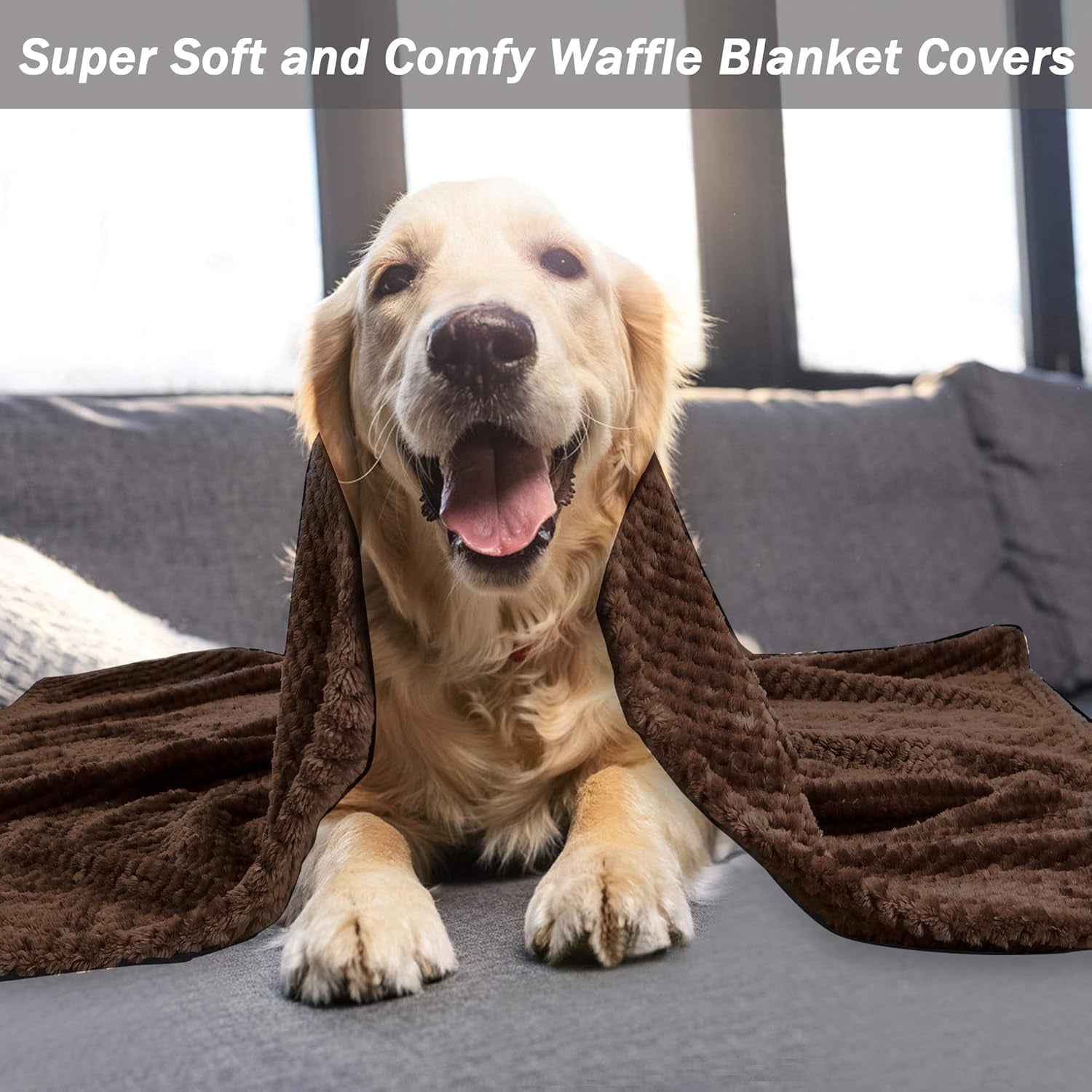 Premium Soft Dog Blanket – Plush Fleece Throw for Puppy & Dogs (S-XL), Reversible & Warm for Bed, Couch & Travel