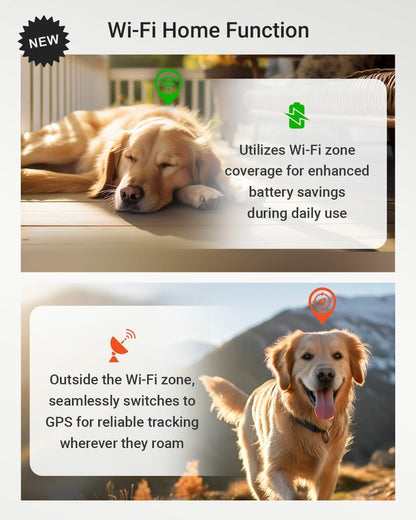  PAJ GPS Tracker for Dogs