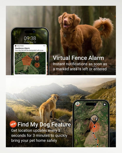  PAJ GPS Tracker for Dogs