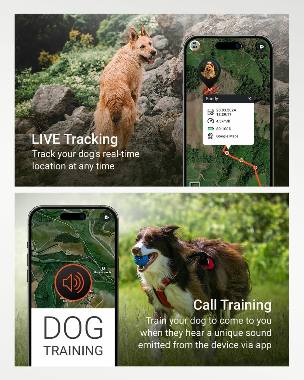  PAJ GPS Tracker for Dogs