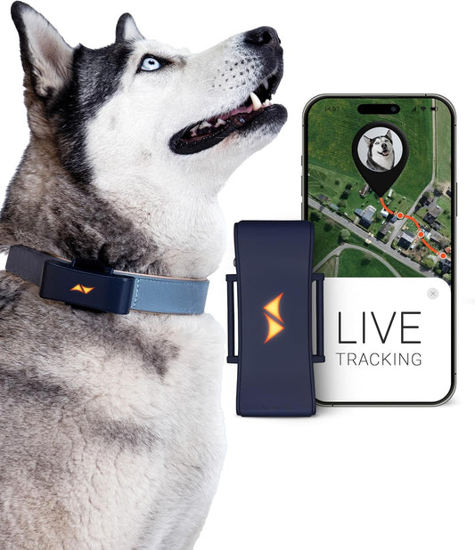  PAJ GPS Tracker for Dogs