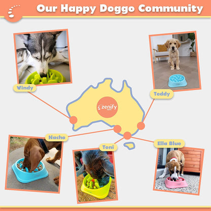 Zenify Dog Bowl Slow Feeder