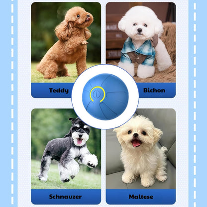 Smart Interactive Dog Toy Ball – USB Rechargeable, Automatic Bouncing & Shaking for Small to Large Dogs (Blue