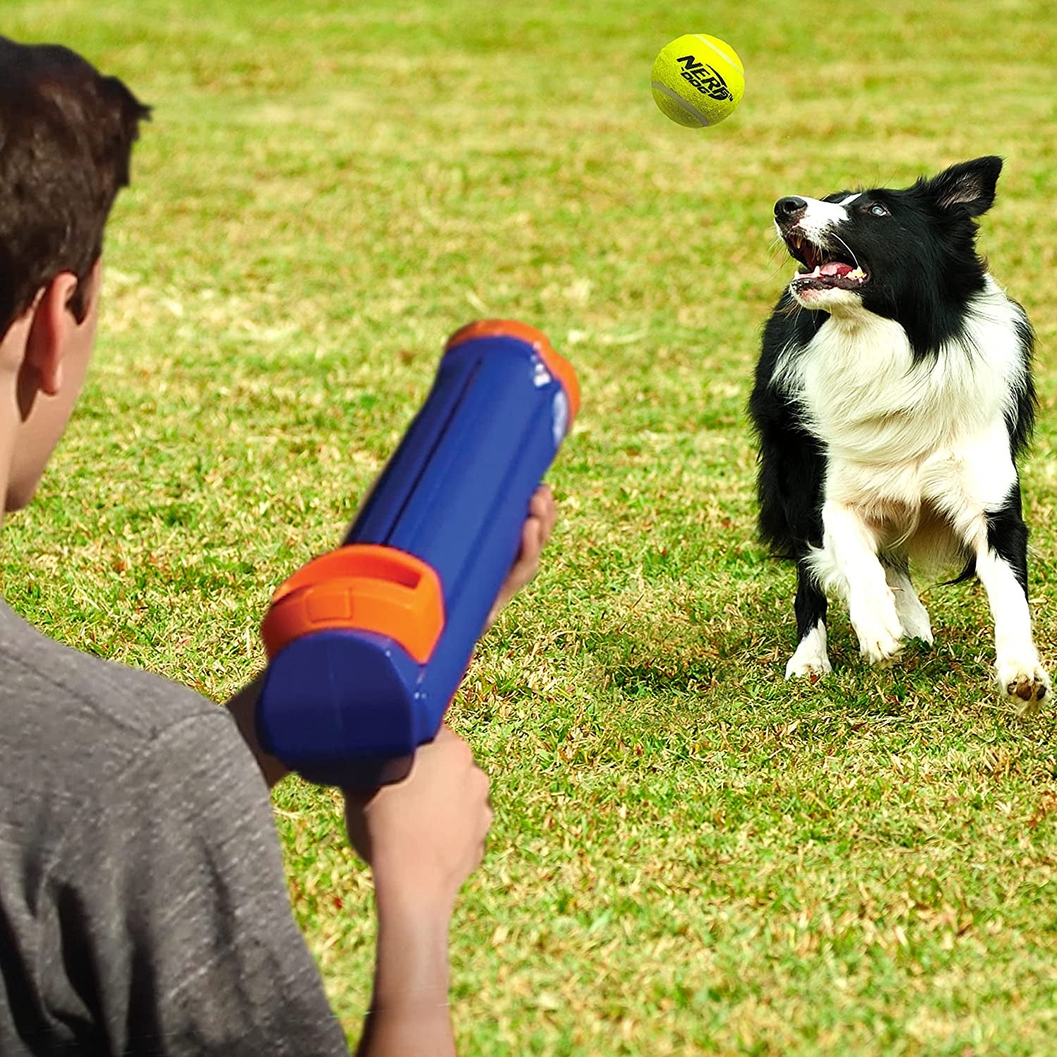 12In Blaster W/O Ball Clip 3 2In Squeak Tennis Balls - Opaque Blue/Orange/Gray and Orange and Blue and Green