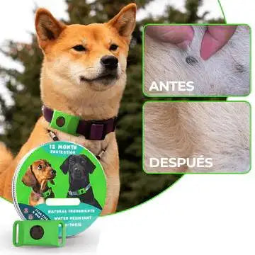 Natural Flea & Tick Collar for Pets