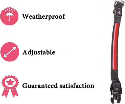 LED Light-Up Dog Collar – USB Rechargeable, Waterproof & 3 Glow Modes for Night Safety