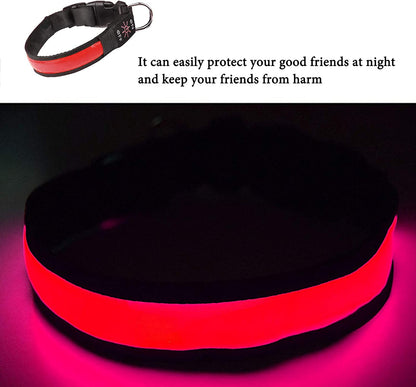 LED Light-Up Dog Collar – USB Rechargeable, Waterproof & 3 Glow Modes for Night Safety