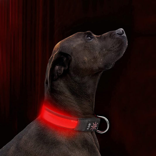 LED Light-Up Dog Collar – USB Rechargeable, Waterproof & 3 Glow Modes for Night Safety